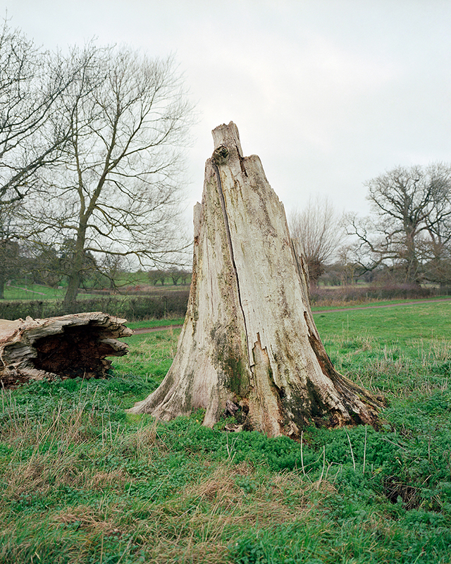 Image 10